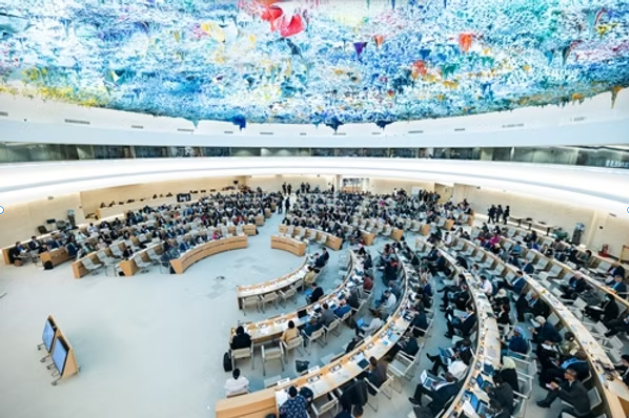 WPA President, Professor Danuta Wasserman, posts a statement that will be presented during the WHO 78th World Health Assembly, Geneva, Switzerland (19-27 May 2025) Image credit: The World Health Organization