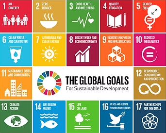 The World Psychiatric Association (WPA) announces the winner(s) of its 2024 Medical Student Essay Competition, a prestigious WPA Presidential initiative supported by the United Nations Secretariat – Department of Economic and Social Affairs, Division for Sustainable Development Goals. Earlier this year, the WPA invited medical students from around the world to write and submit an essay of up to 3,000 words on the theme: \\\"Improving Mental Health in the Global World Using the United Nations 17 Sustainable Development Goals.