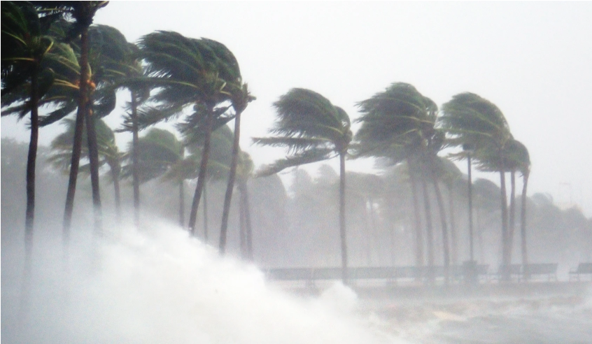 New Disaster Psychiatry education module now available on WPA Education Portal
