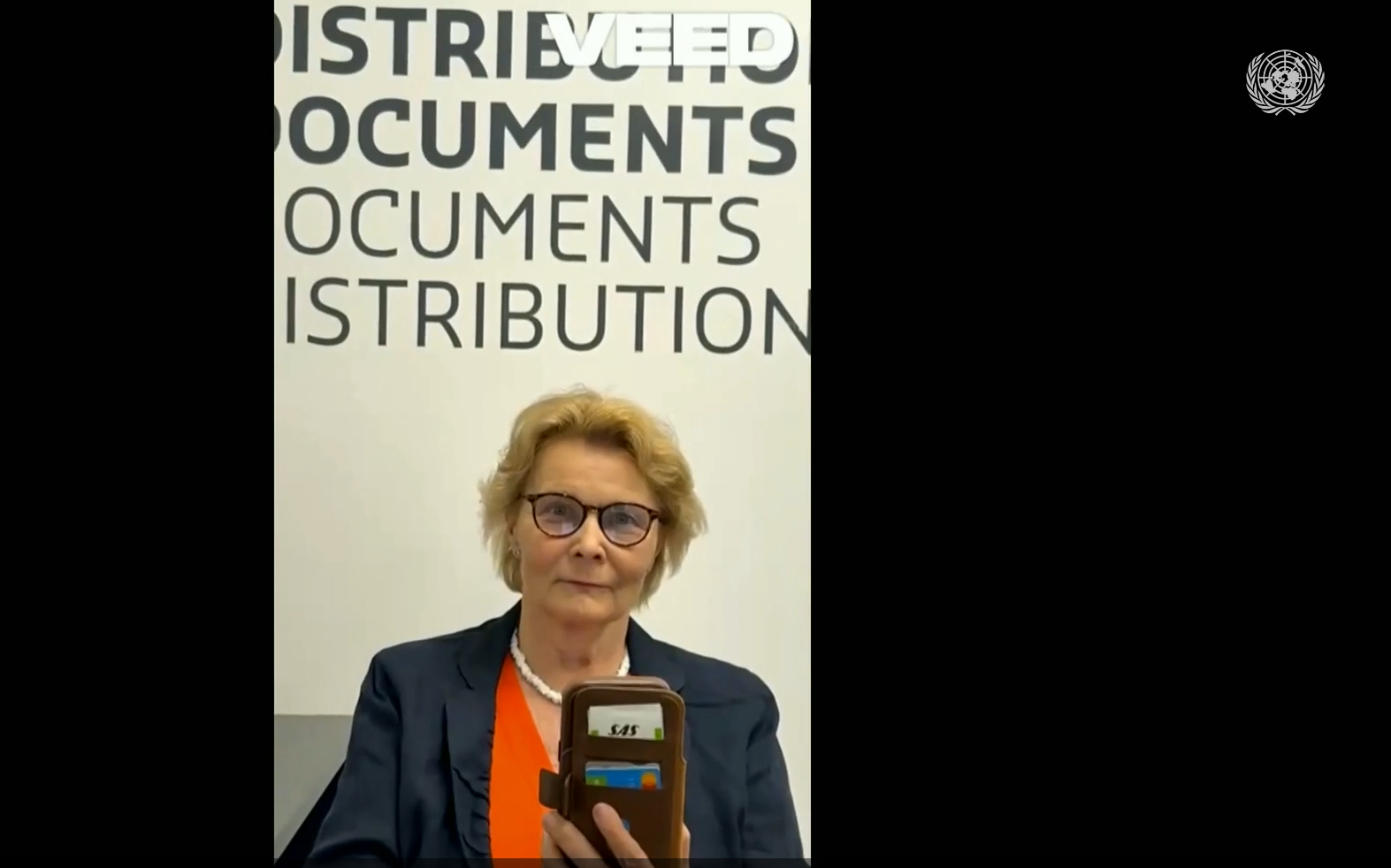 Watch the UN Web TV video